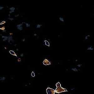 météo tropicale : Image satellite .