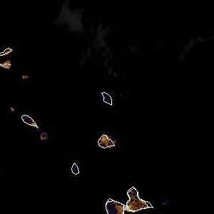 météo tropicale : Image satellite .