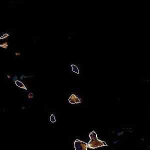 météo tropicale : Image satellite .