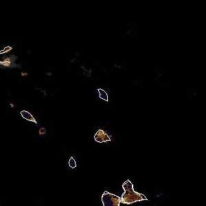 météo tropicale : Image satellite .