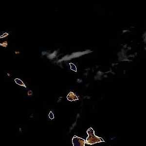 météo tropicale : Image satellite .