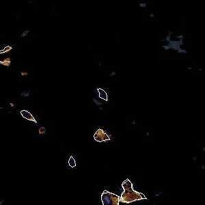 météo tropicale : Image satellite .