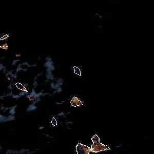 météo tropicale : Image satellite .