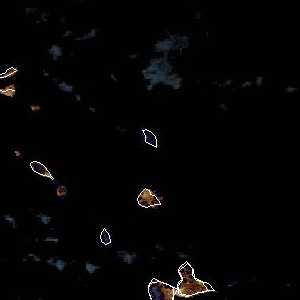 météo tropicale : Image satellite .