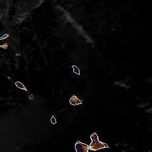 météo tropicale : Image satellite .