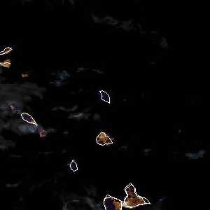 météo tropicale : Image satellite .