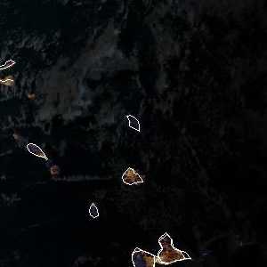météo tropicale : Image satellite .