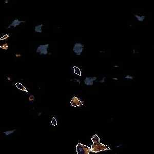 météo tropicale : Image satellite .