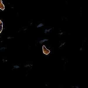 météo tropicale : Image satellite .