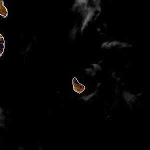 météo tropicale : Image satellite .