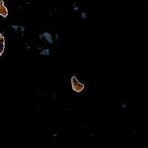 météo tropicale : Image satellite .