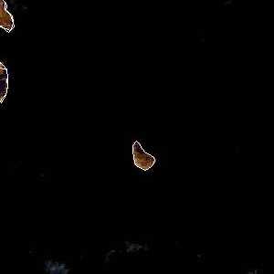 météo tropicale : Image satellite .