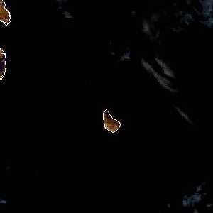 météo tropicale : Image satellite .