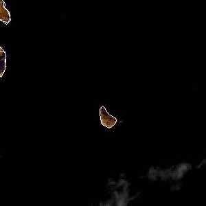 météo tropicale : Image satellite .