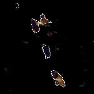 météo tropicale : Image satellite .