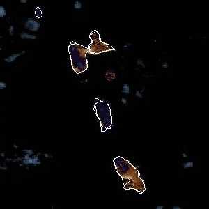 météo tropicale : Image satellite .