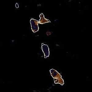 météo tropicale : Image satellite .