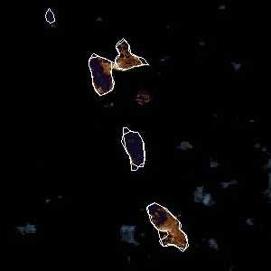 météo tropicale : Image satellite .