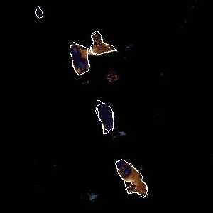 météo tropicale : Image satellite .