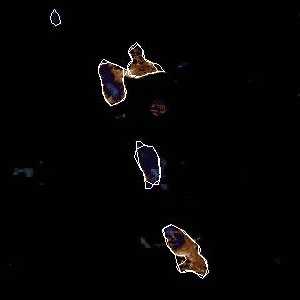 météo tropicale : Image satellite .