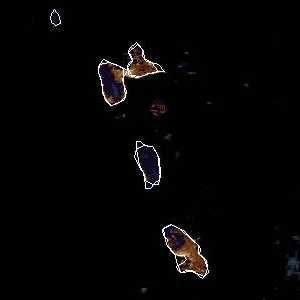 météo tropicale : Image satellite .