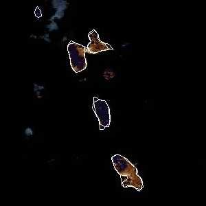 météo tropicale : Image satellite .