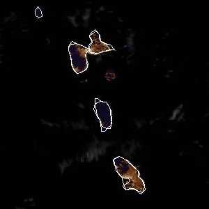 météo tropicale : Image satellite .