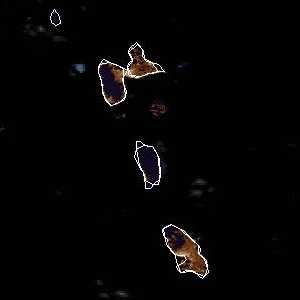 météo tropicale : Image satellite .