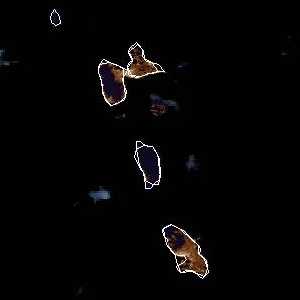 météo tropicale : Image satellite .