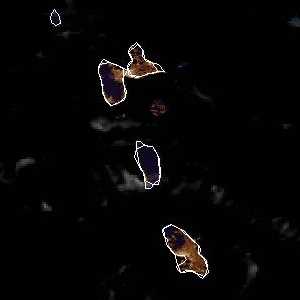 météo tropicale : Image satellite .