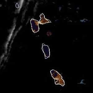 météo tropicale : Image satellite .