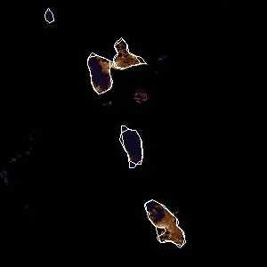 météo tropicale : Image satellite .