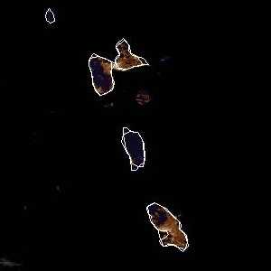 météo tropicale : Image satellite .