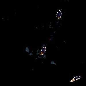 météo tropicale : Image satellite .