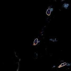 météo tropicale : Image satellite .