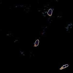 météo tropicale : Image satellite .