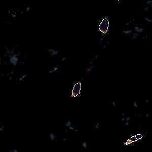 météo tropicale : Image satellite .