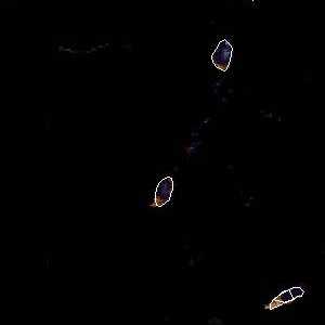 météo tropicale : Image satellite .