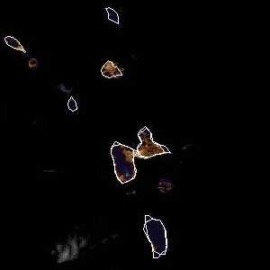 météo tropicale : Image satellite .