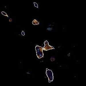 météo tropicale : Image satellite .