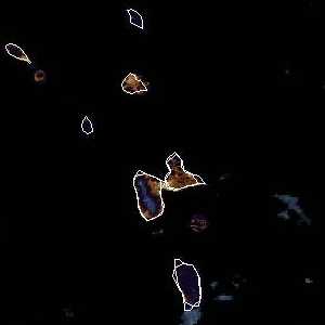 météo tropicale : Image satellite .