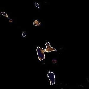 météo tropicale : Image satellite .