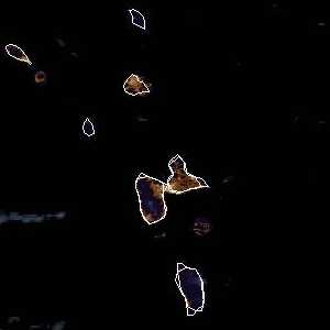 météo tropicale : Image satellite .