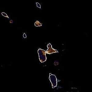 météo tropicale : Image satellite .