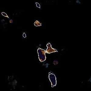 météo tropicale : Image satellite .