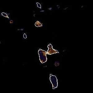 météo tropicale : Image satellite .