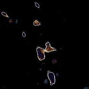 météo tropicale : Image satellite .