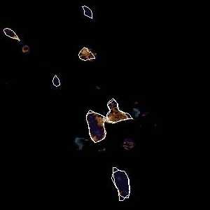 météo tropicale : Image satellite .