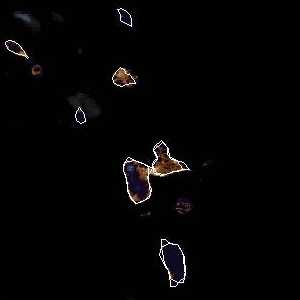 météo tropicale : Image satellite .