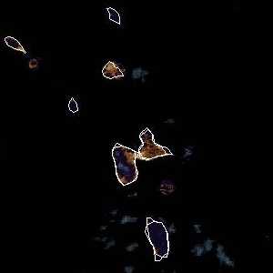 météo tropicale : Image satellite .